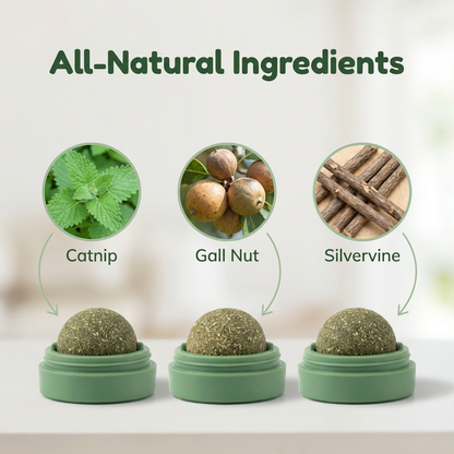 Wall-ball Catnip Toy