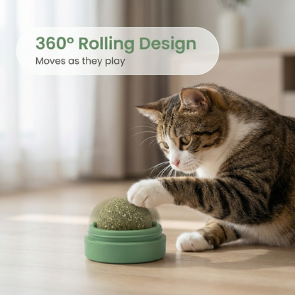 Wall-ball Catnip Toy