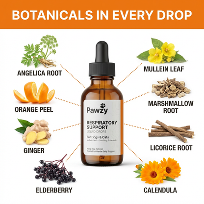 Pawzy Pet Cough Relief